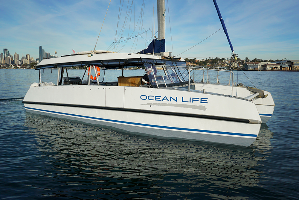 Ocean Life 1