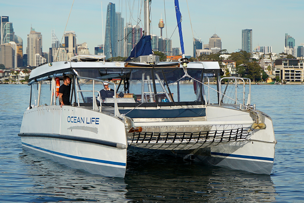 Ocean Life 2