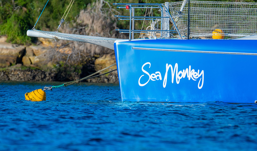 Sea Monkey 9