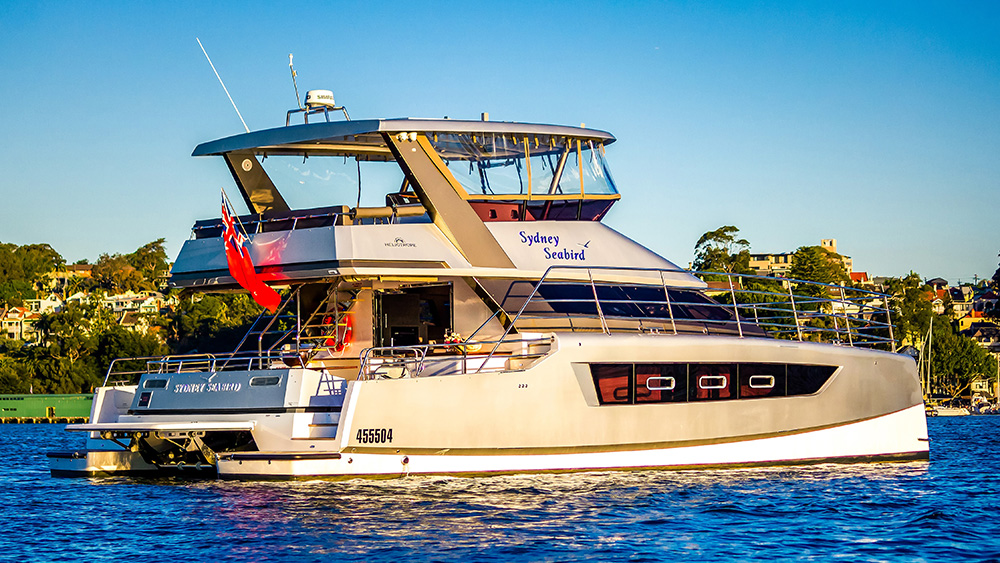 Sydney Seabird 1