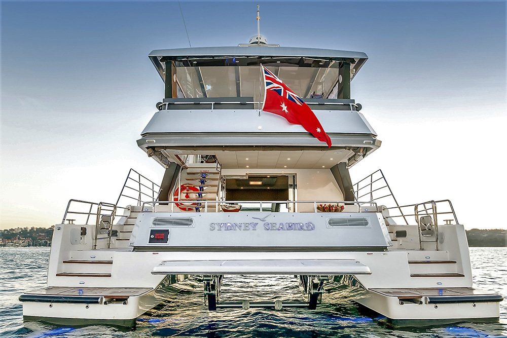 Sydney Seabird 2