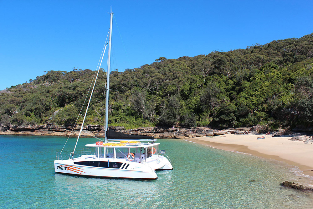 Tiger Catamarans 1