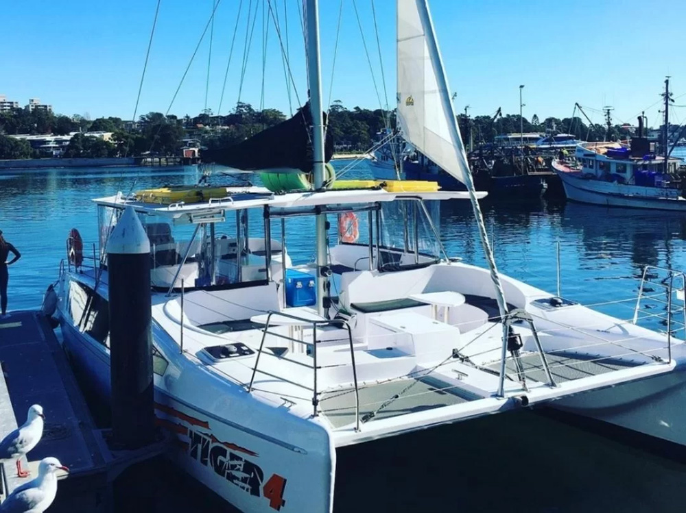 Tiger Catamarans 11