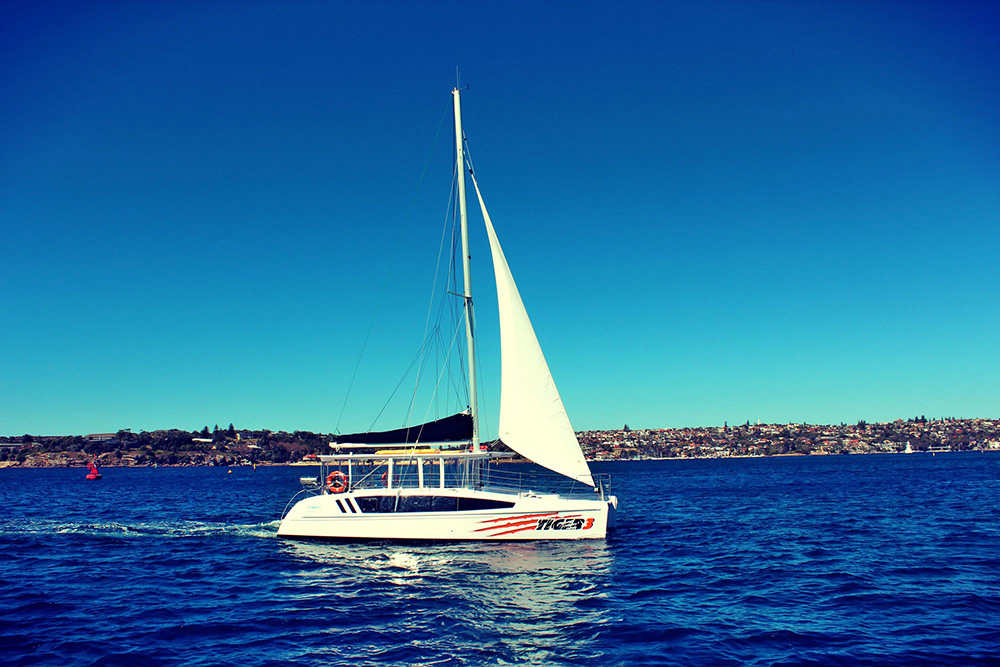 Tiger Catamarans 6